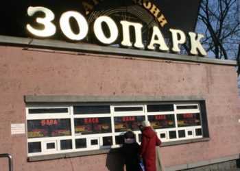 В Київському зоопарку звірів годують заморськими фруктами?