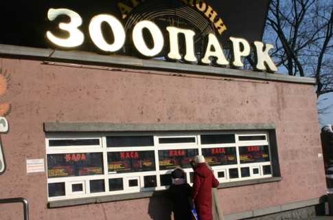 В Київському зоопарку звірів годують заморськими фруктами?
