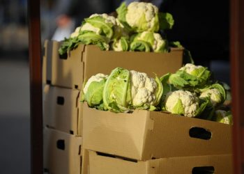 Сейчас продукты в Британии дешевле, чем 150 лет назад