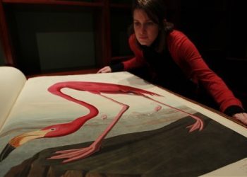 На аукцион выставили одну из самых дорогих книг в мире