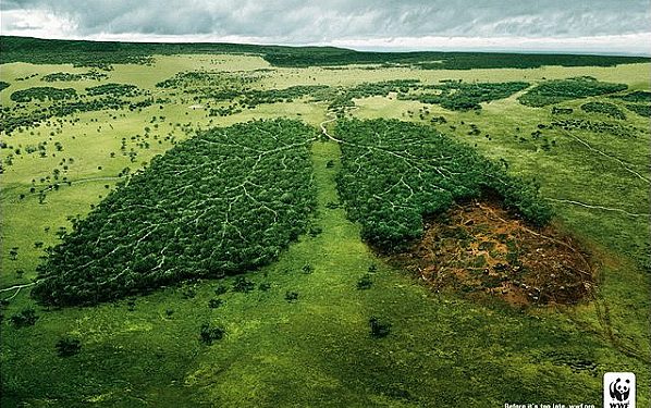 Экологи поддали критике план финпомощи Греции