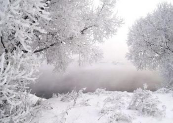 У школьников будут внеплановые каникулы