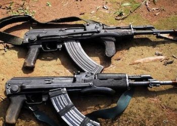 Пенсионер вместе с дровами купил 80 автоматов Калашникова и ряд боеприпасов