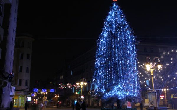 В Івано-Франківську палала головна ялинка міста