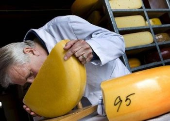«Сырная война» разразилась из-за торговли Украины с ЕС