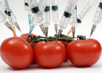 Предприниматели будут регистрировать новую продукцию, содержащую ГМО