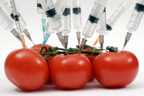 Предприниматели будут регистрировать новую продукцию, содержащую ГМО