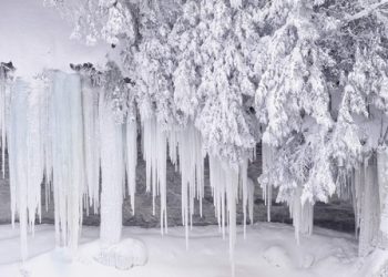 Морозы унесли жизни шестерых крымчан