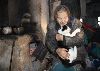 Китаец выложил за голубя $328 тысяч