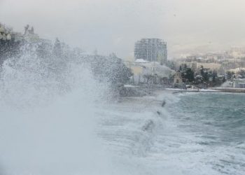 Женщину нашли на берегу моря под Ялтой