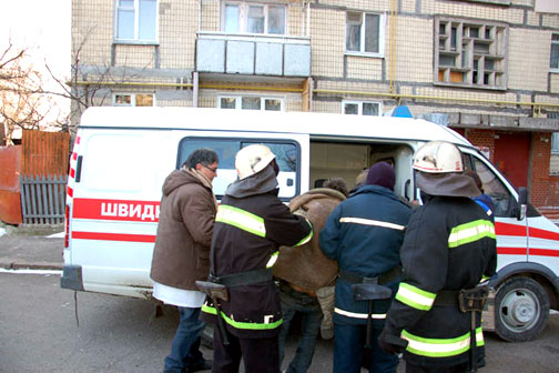 Мужчина чтобы согреться развел в доме костер