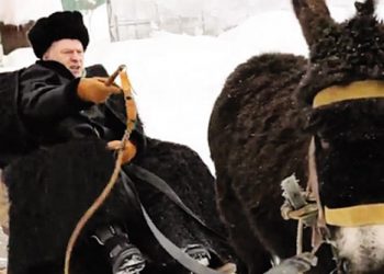 Владелец фермы «Чудо-ослик» подал в суд на Жириновского