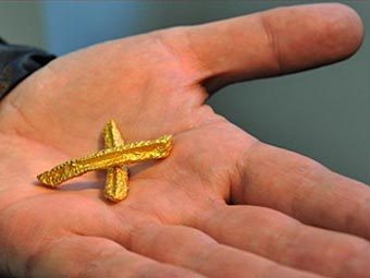 Два шматочки картоплі фрі за ціною декількох тон
