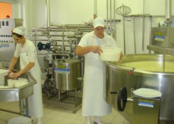 Из-за российского запрета закрывается украинский сырзавод