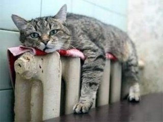 З понеділка в будинках українців буде тепло