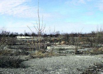 Украина будет добывать золото