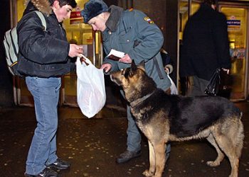 Московское метро проверят кинологи с собаками