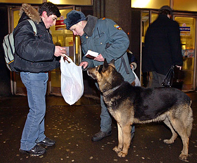 Московское метро проверят кинологи с собаками