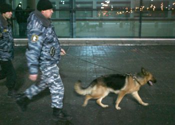 МВД опровергло данные о пропаже волонтера, искавшего девочку в Брянске