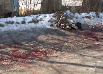 Девушку нашли голой местные жители