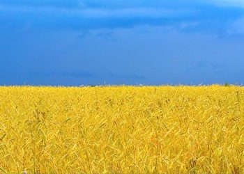 Власть будет воспитывать патриотов