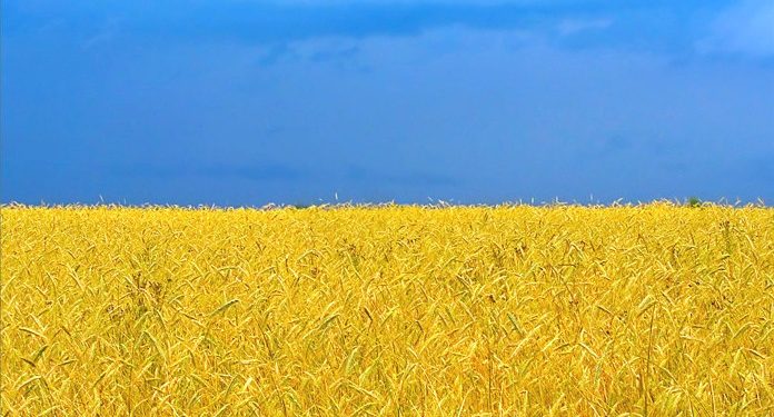 Власть будет воспитывать патриотов