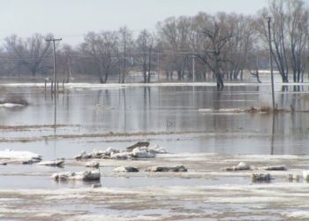 В Луганской области подтоплены пять сел