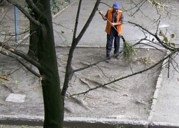 В Новосибирске за попытку фальсификации выборов будут судить дворника