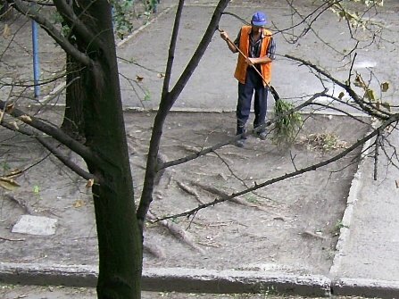 В Новосибирске за попытку фальсификации выборов будут судить дворника