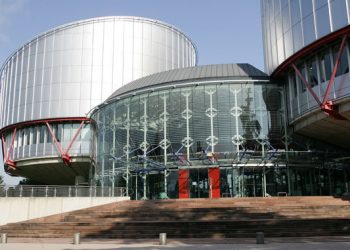 Европейский суд признал иск Луценко приоритетным