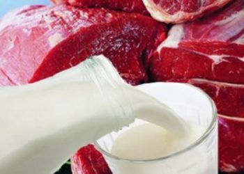 В Украину запретили ввозить мясо и молоко из Беларуси