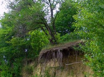 Берег Кременчуцького водосховища