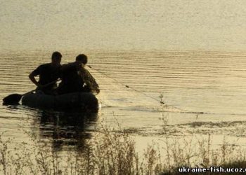 Браконьєри виловлюють рибу попри заборону