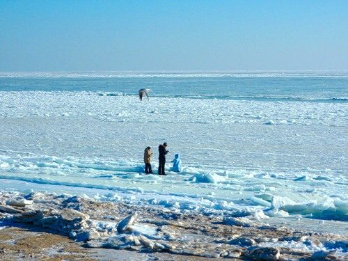 В Мариуполе лед из Азовского моря повредил заборы частных домов