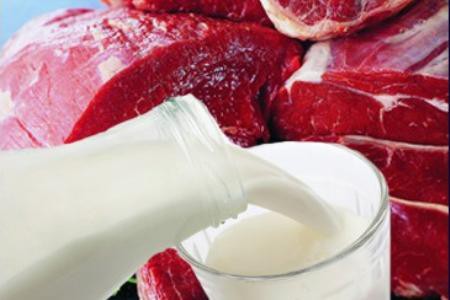 Белорусский ультиматум в «мясо-молочной войне» с Украиной