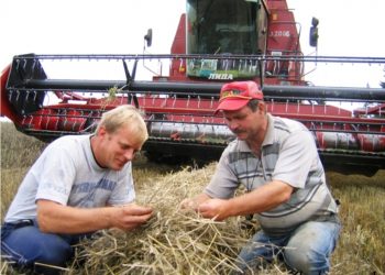 Украинским аграриям не хватает специалистов