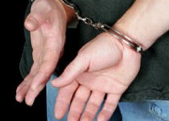 Грабіжники вкрали і розбили подарунок до 8 березня