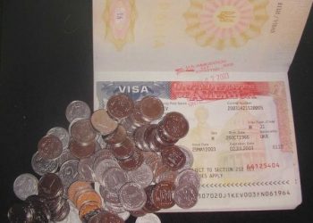 Держава виділяє багато грошей сумнівним тендерам