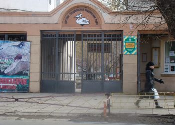 Из одесского депо сделают зоопарк