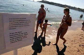 У побережья курорта Шарм-эш-Шейха существует опасность нападения акулы