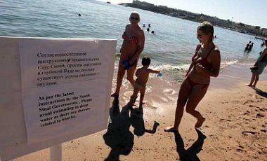 У побережья курорта Шарм-эш-Шейха существует опасность нападения акулы
