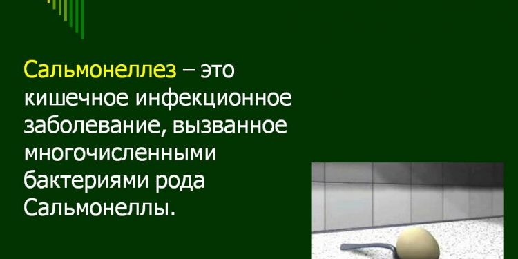 Обнаружен опасный штамм сальмонеллы