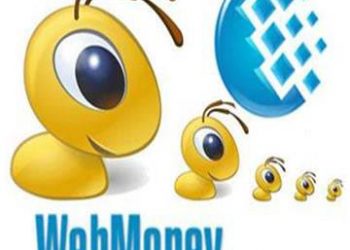 WebMoney можна отримати в кредит