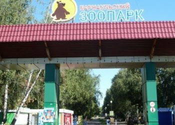 Зайцевы Белкины и другие получат скидку в барнаульский зоопарк
