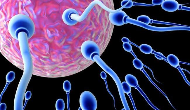 Від безпліддя чоловікам допоможе гель – вчені