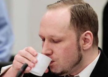 Брейвік просить суддю визнати його кримінально відповідальним