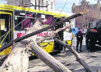 Дерево упало на маршрутку в центре Одессы