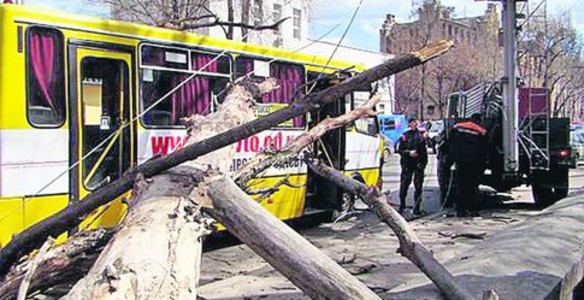 Дерево упало на маршрутку в центре Одессы