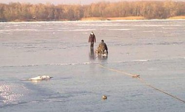 Один ребенок утонул