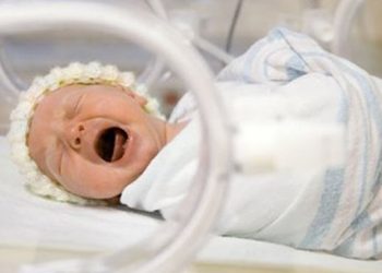 У Британії народилася дівчинка без крові